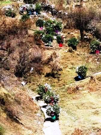 घसियारी योजनाः सीएम त्रिवेन्द्र ने समझा ‘घसेरी’ और ‘पनेरी’ का दर्द