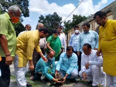 पूर्व भाजपा जिलाध्यक्ष जितेन्द्र नेगी ने हरेला पर किया वृक्षारोपण